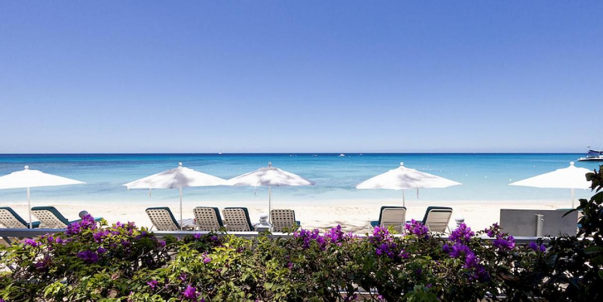 Azzurro Old Trees 2 villas available for Christmas in Barbados