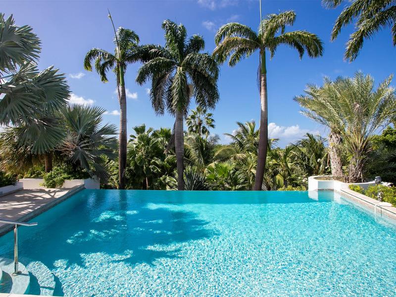 Les Palmiers Bleus , Terres Basses 