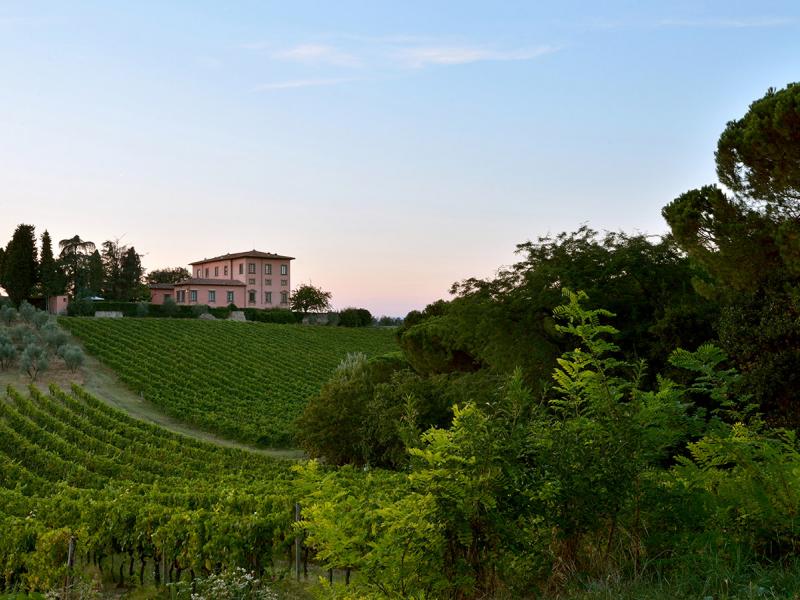 Mangiacane Estate , Tuscany 