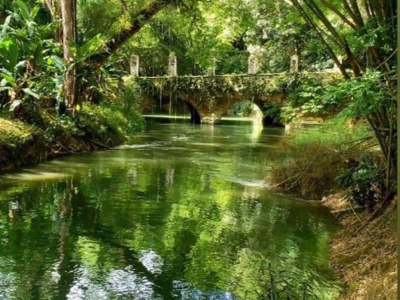 Coach House at Good Hope, Jamaica , Montego Bay 