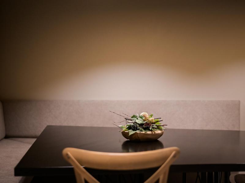 Villa Illys , Istria 