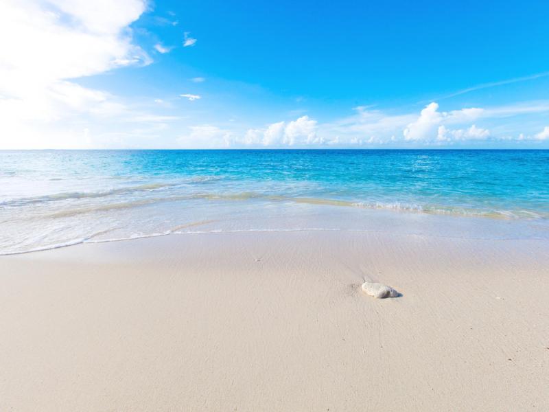 Seashell Villa , Lime Stone Bay 