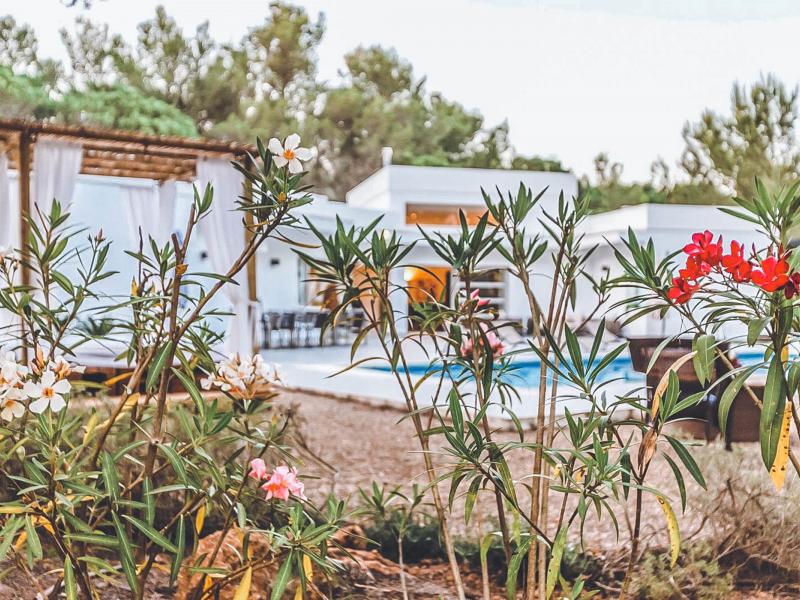 Can Ivan , Santa Gertrudis 