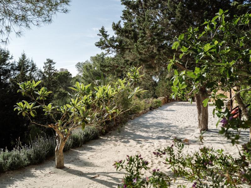 Can Xarraca , Portinatx 