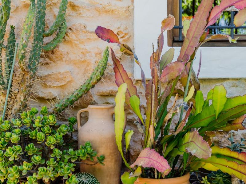 Villa Para , San Antonio 