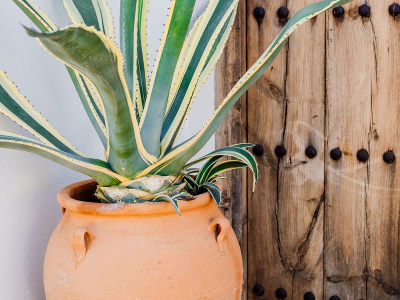 Villa Para , San Antonio 