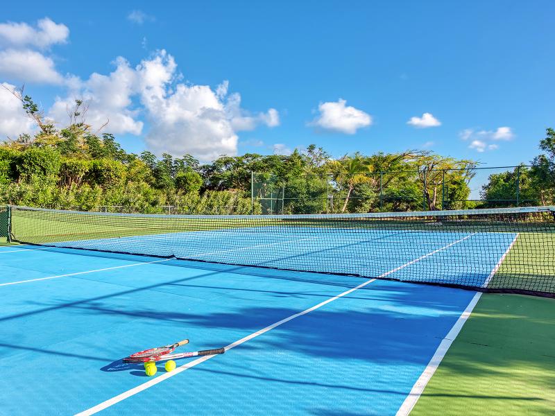 La Pinta , Terres Basses 