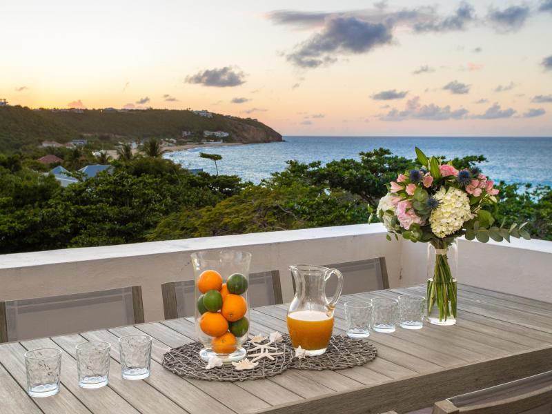 Joie de Vivre , Terres Basses 