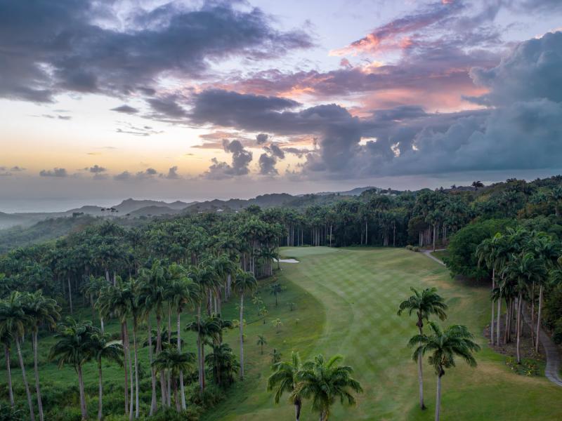 Apes Hill Resort Barbados , Apes Hill 