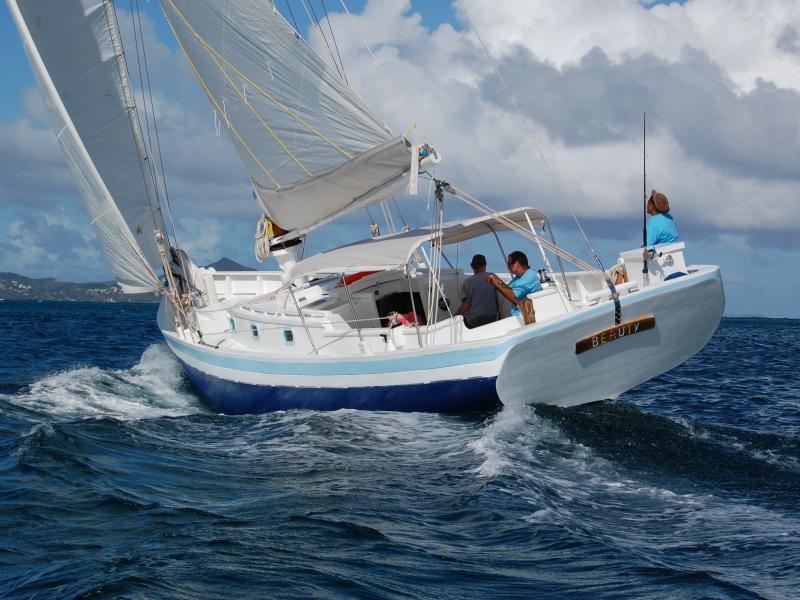 Petit St Vincent , Petit St Vincent 