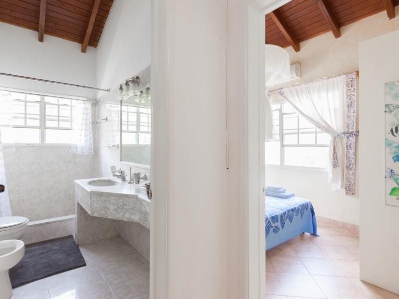 Tropical Paradise , English Harbour 