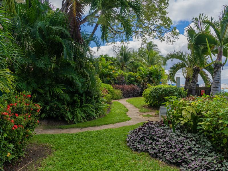 Coral Cove 9 - 'Beachi' - Beachfront , Beachfront villas Barbados , Coral Cove , Paynes Bay , St James , West Coast Barbados 