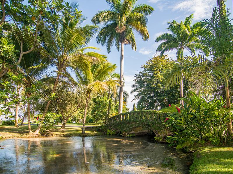 Rio Chico , Ocho Rios 