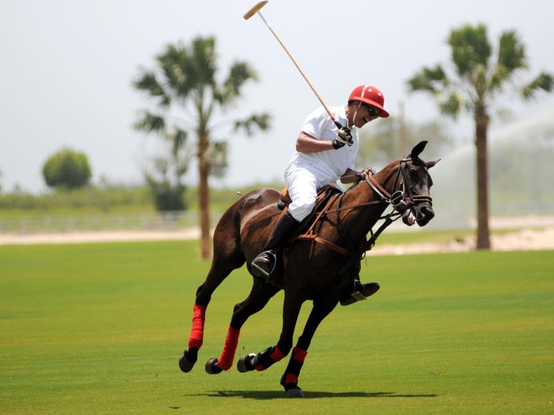 Eden Roc Cap Cana Boutique Suites, Villas and Beach Club , Punta Cana 