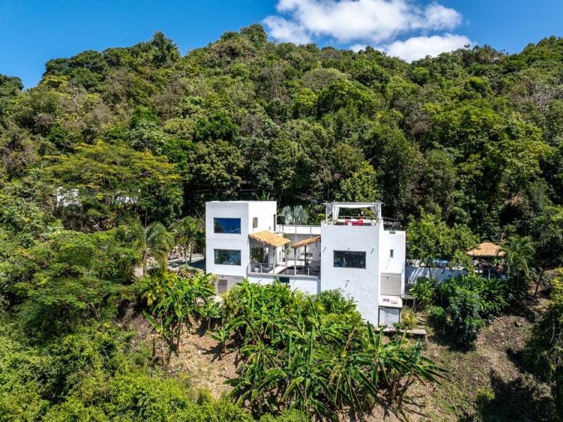 Nirvana. Tortola , Tortola 