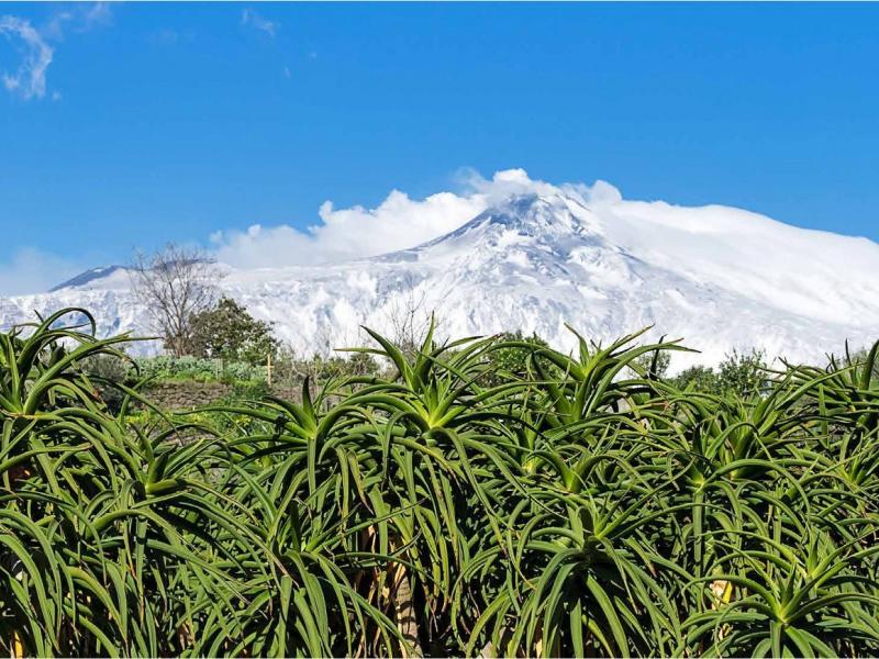 Donna Carmela Resort , Sicily 