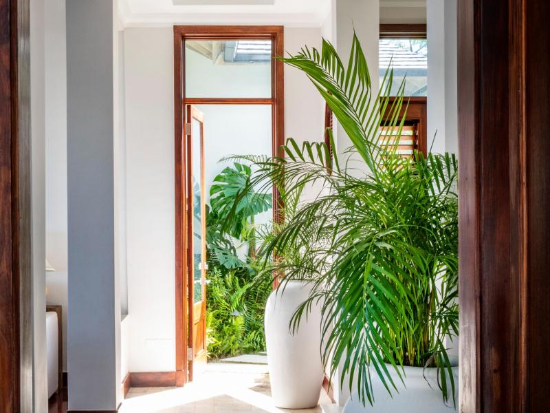 Oceana , Montego Bay 