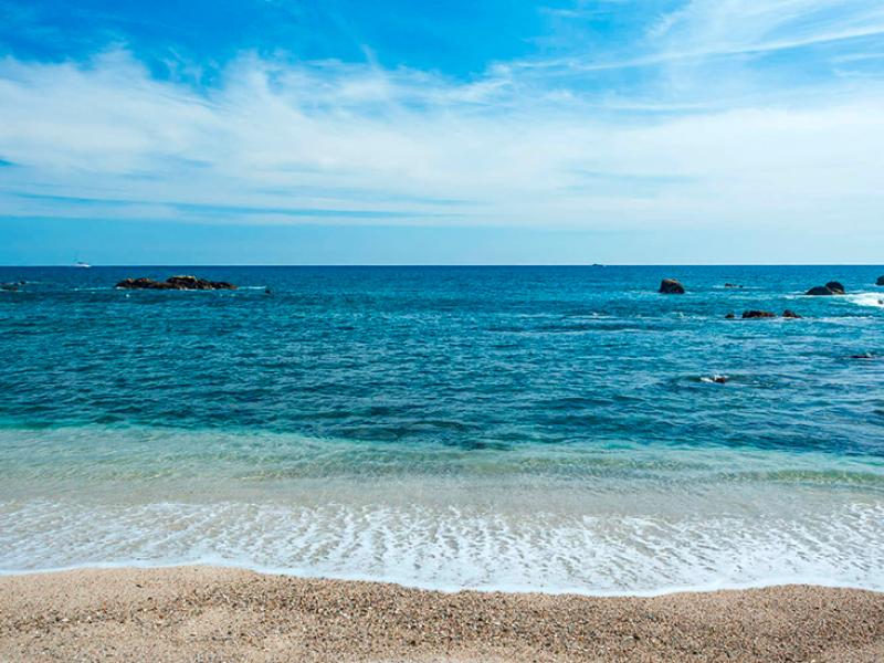 Cabos Ocean View, Los Cabos , Cabo San Lucas 
