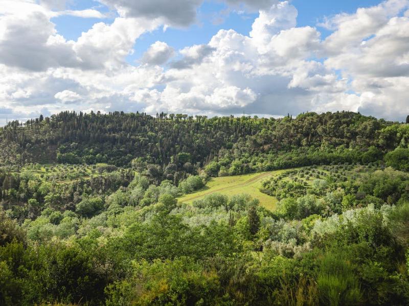 Villa Barbarino , Tuscany 