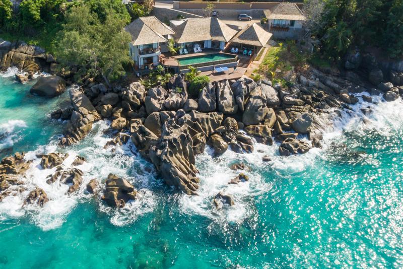 Sea Monkey Sea Monkey