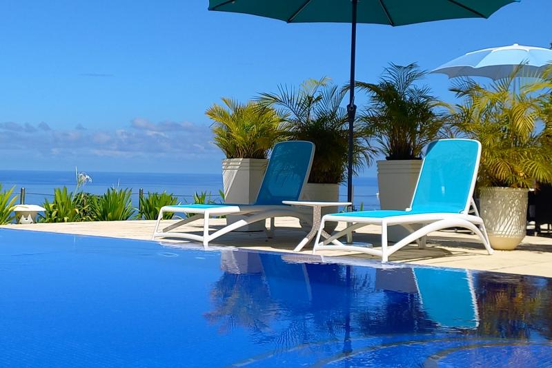 Petit Amour  Petit Amour