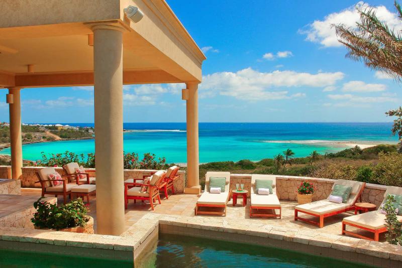 Bird of Paradise Anguilla Bird of Paradise Anguilla