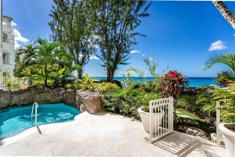 The Palms Old Trees - Beachfront The Palms Old Trees - Beachfront